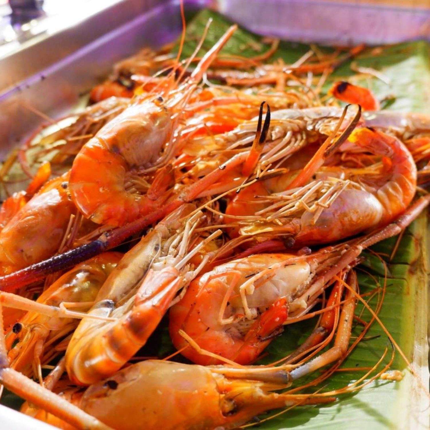 MRD-FOOD-0024-1_0